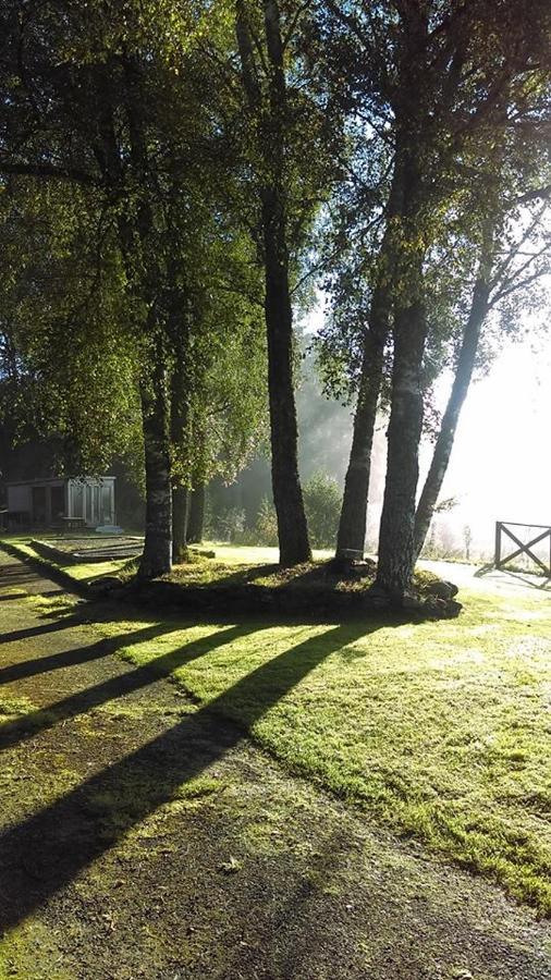 Waterfall Lodge - Private Waterfall And Sauna Кіллін Екстер'єр фото
